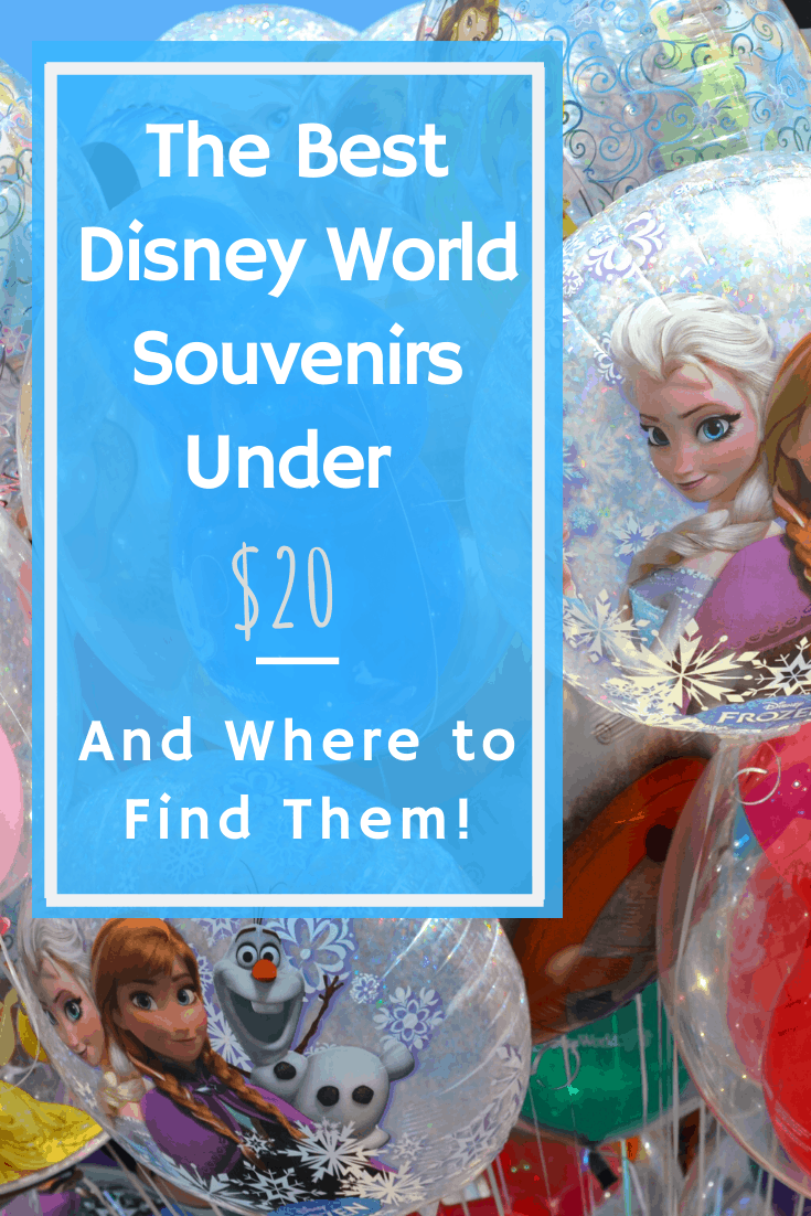 Disney World Souvenirs under $20