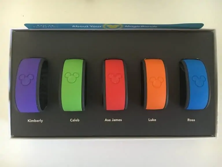 Magic Bands for Disney Vacation