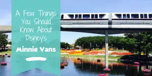 Disney monorail transportation