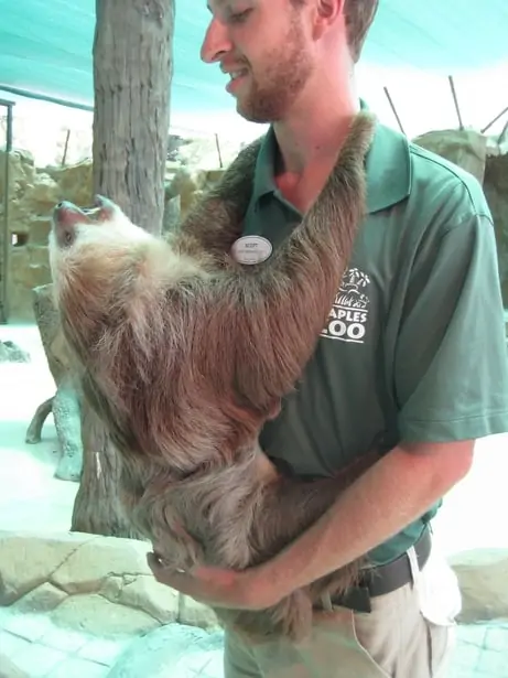 Naples Zoo employee holding a sloth