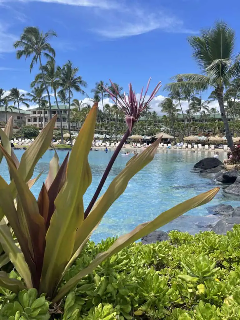 Sand bottom pool at Grand Hyatt Kauai