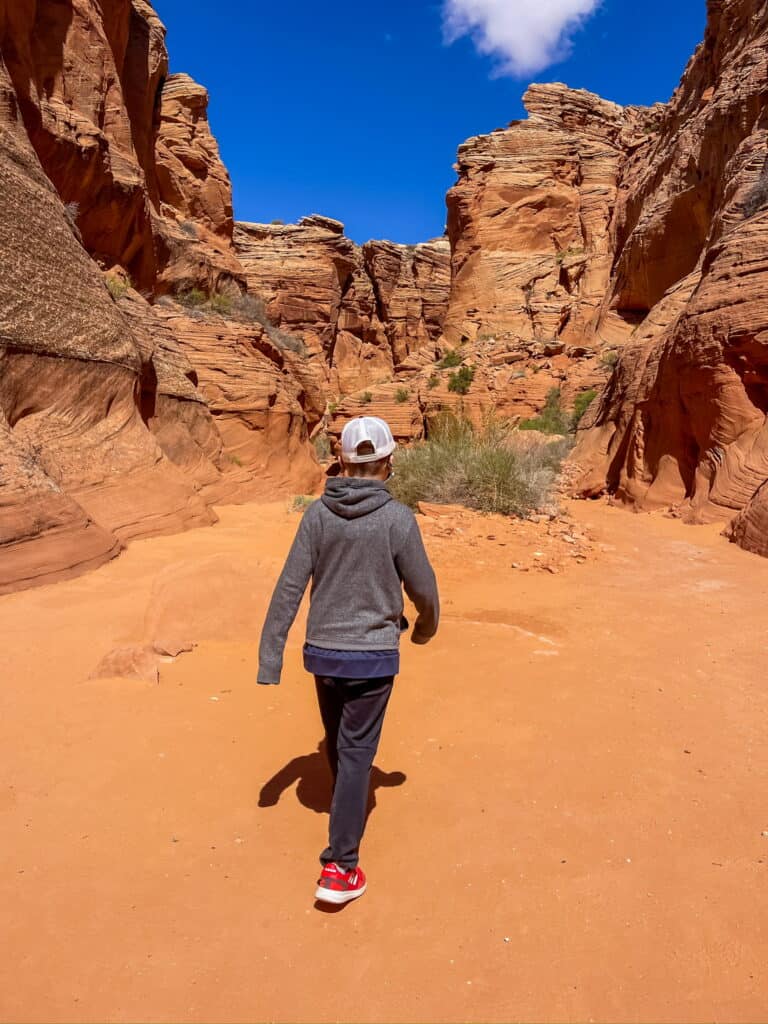 Boy walking toward the red rock canyon.
