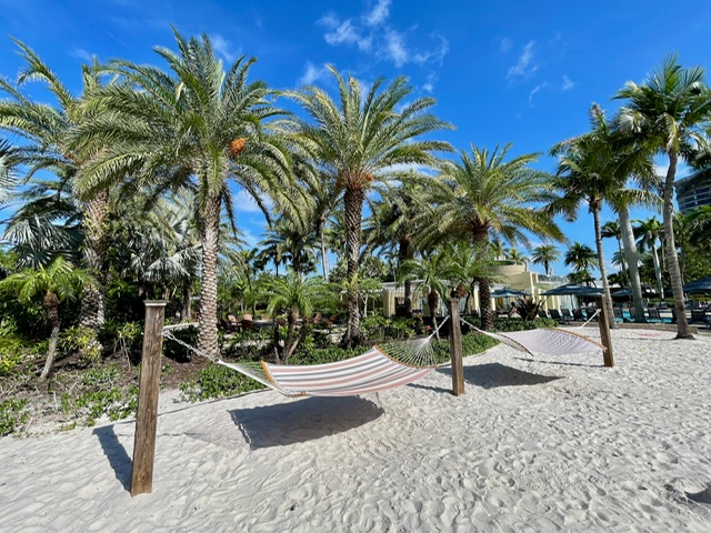 Hammocks at Hyatt Regency Coconut Point